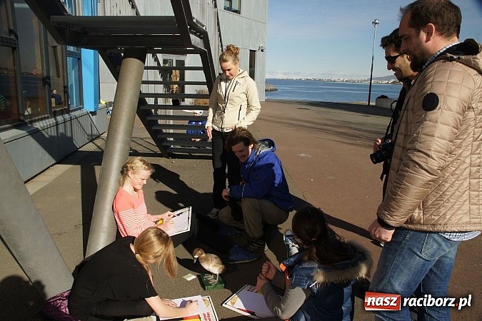 Zdjęcie w galerii na portalu naszraciborz.pl: Ze szkoły na Ostrogu do Islandii wiadomości z regionu