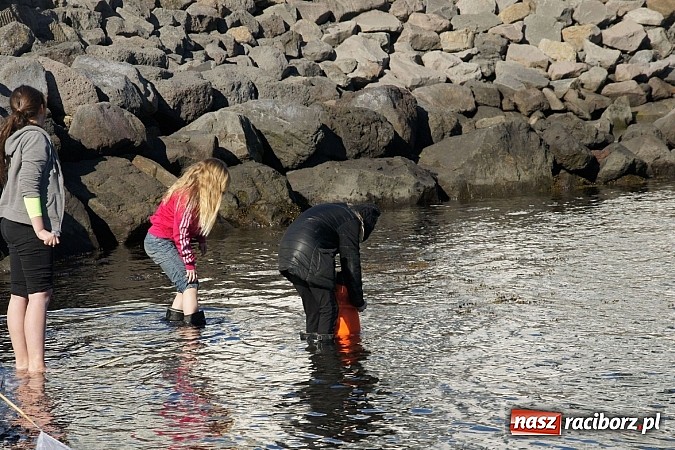 Zdjęcie w galerii na portalu naszraciborz.pl: Ze szkoły na Ostrogu do Islandii wiadomości z regionu