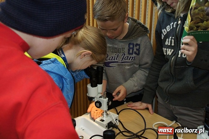 Zdjęcie w galerii na portalu naszraciborz.pl: Ze szkoły na Ostrogu do Islandii wiadomości z regionu