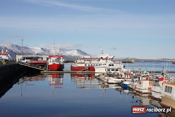 Zdjęcie w galerii na portalu naszraciborz.pl: Ze szkoły na Ostrogu do Islandii wiadomości z regionu