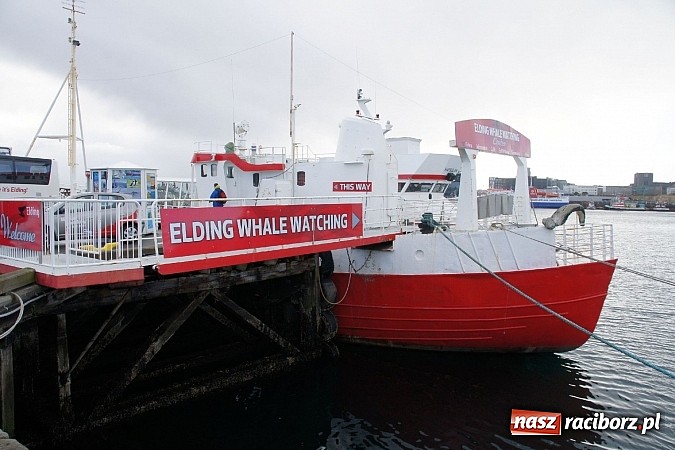 Zdjęcie w galerii na portalu naszraciborz.pl: Ze szkoły na Ostrogu do Islandii wiadomości z regionu