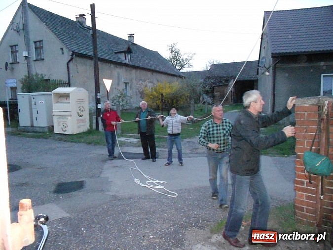 Zdjęcie w galerii na portalu naszraciborz.pl: W Rudzie Kozielskiej postawili drzewko majowe wiadomości z regionu