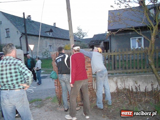 Zdjęcie w galerii na portalu naszraciborz.pl: W Rudzie Kozielskiej postawili drzewko majowe wiadomości z regionu