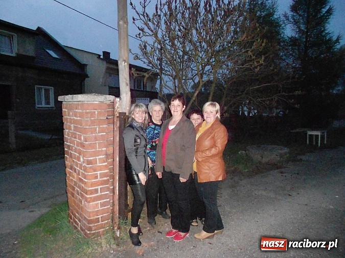 Zdjęcie w galerii na portalu naszraciborz.pl: W Rudzie Kozielskiej postawili drzewko majowe wiadomości z regionu
