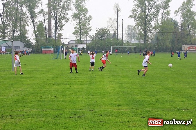 Zdjęcie w galerii na portalu naszraciborz.pl: Tymbark podwójnie dla Pawłowa wiadomości z regionu