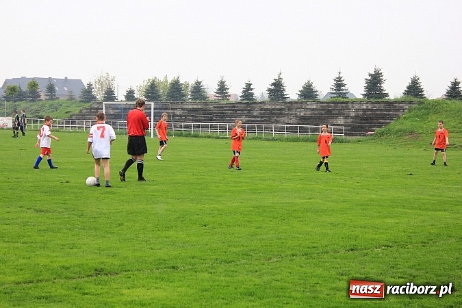 Zdjęcie w galerii na portalu naszraciborz.pl: Tymbark podwójnie dla Pawłowa wiadomości z regionu