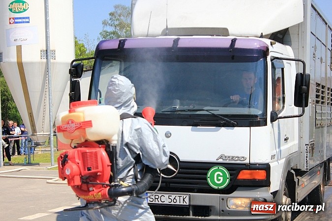 Zdjęcie w galerii na portalu naszraciborz.pl: Choroba niebieskiego języka w Wojnowicach wiadomości z regionu
