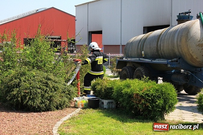 Zdjęcie w galerii na portalu naszraciborz.pl: Choroba niebieskiego języka w Wojnowicach wiadomości z regionu