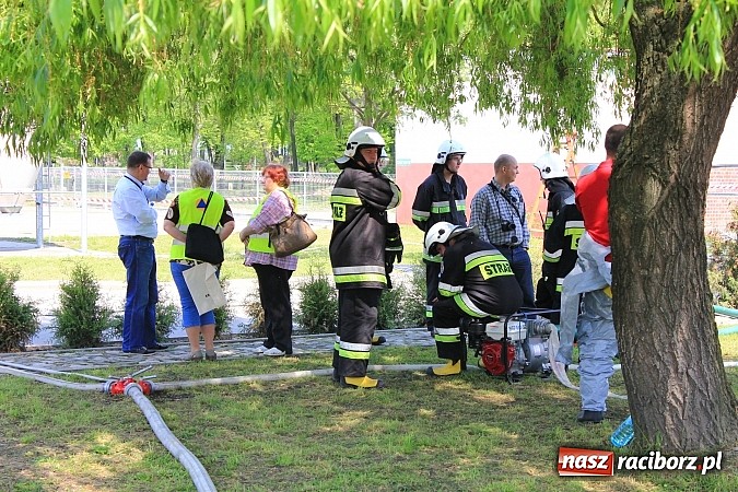 Zdjęcie w galerii na portalu naszraciborz.pl: Choroba niebieskiego języka w Wojnowicach wiadomości z regionu