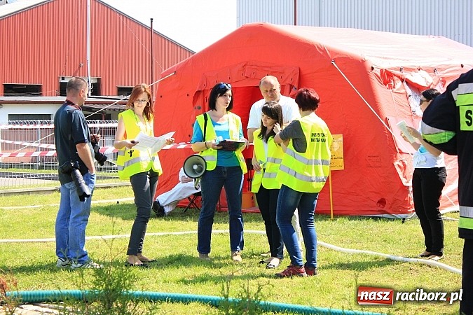 Zdjęcie w galerii na portalu naszraciborz.pl: Choroba niebieskiego języka w Wojnowicach wiadomości z regionu