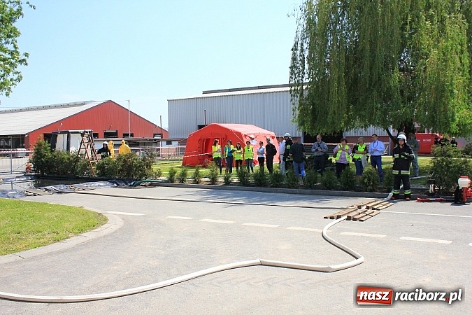Zdjęcie w galerii na portalu naszraciborz.pl: Choroba niebieskiego języka w Wojnowicach wiadomości z regionu