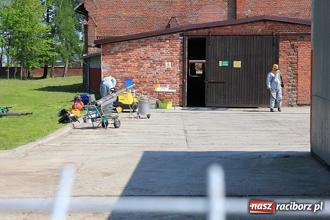 Zdjęcie w galerii na portalu naszraciborz.pl: Choroba niebieskiego języka w Wojnowicach wiadomości z regionu