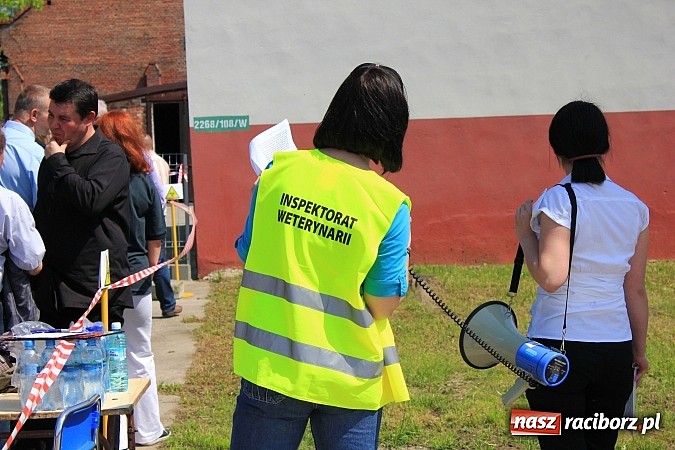 Zdjęcie w galerii na portalu naszraciborz.pl: Choroba niebieskiego języka w Wojnowicach wiadomości z regionu