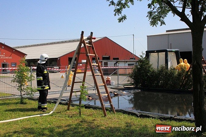 Zdjęcie w galerii na portalu naszraciborz.pl: Choroba niebieskiego języka w Wojnowicach wiadomości z regionu