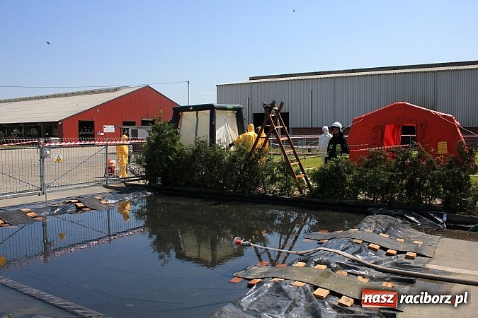 Zdjęcie w galerii na portalu naszraciborz.pl: Choroba niebieskiego języka w Wojnowicach wiadomości z regionu
