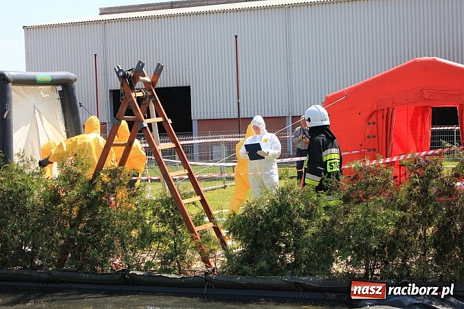 Zdjęcie w galerii na portalu naszraciborz.pl: Choroba niebieskiego języka w Wojnowicach wiadomości z regionu
