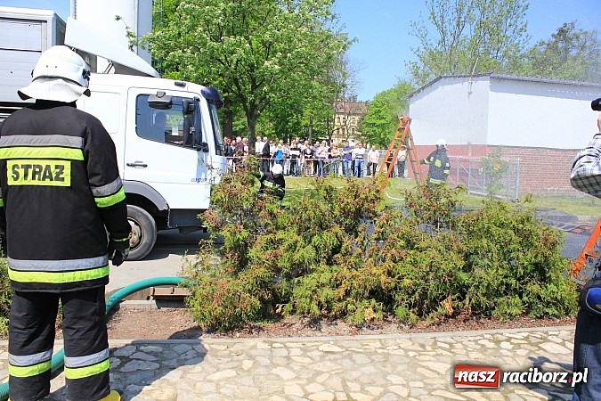 Zdjęcie w galerii na portalu naszraciborz.pl: Choroba niebieskiego języka w Wojnowicach wiadomości z regionu