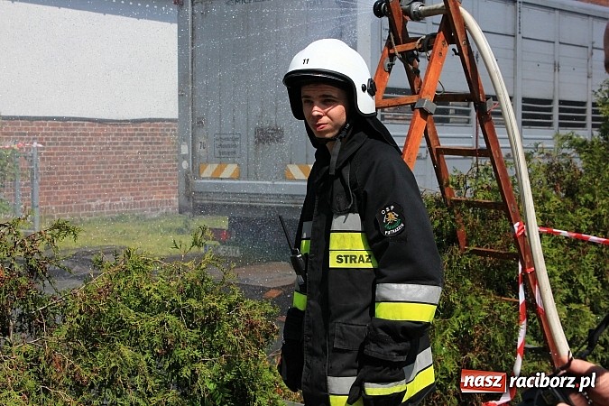 Zdjęcie w galerii na portalu naszraciborz.pl: Choroba niebieskiego języka w Wojnowicach wiadomości z regionu