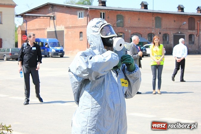 Zdjęcie w galerii na portalu naszraciborz.pl: Choroba niebieskiego języka w Wojnowicach wiadomości z regionu