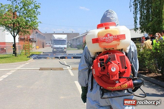 Zdjęcie w galerii na portalu naszraciborz.pl: Choroba niebieskiego języka w Wojnowicach wiadomości z regionu