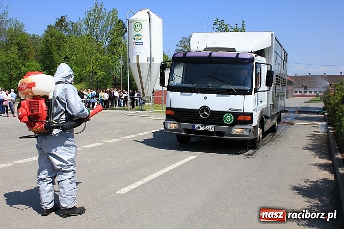 Zdjęcie w galerii na portalu naszraciborz.pl: Choroba niebieskiego języka w Wojnowicach wiadomości z regionu