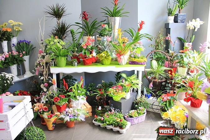 Zdjęcie w galerii na portalu naszraciborz.pl: Podaruj swojej Mamie piękne kwiaty wiadomości z regionu