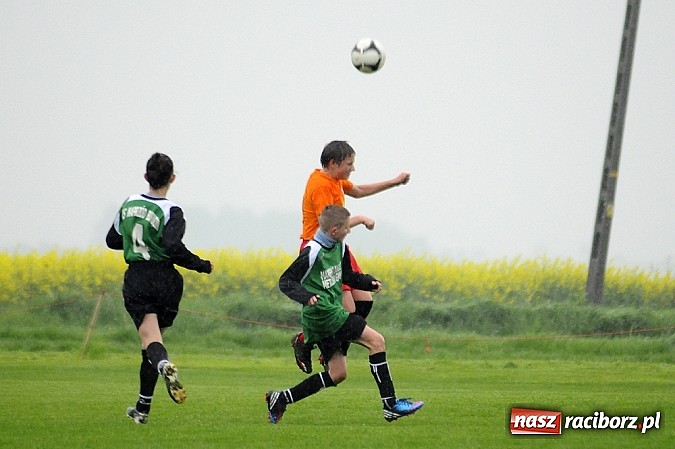 Zdjęcie w galerii na portalu naszraciborz.pl: Deszczowa kanonada w Borucinie wiadomości z regionu