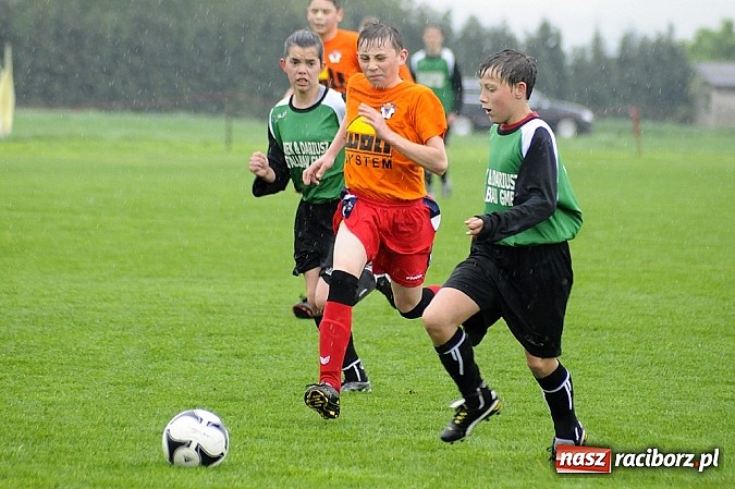 Zdjęcie w galerii na portalu naszraciborz.pl: Deszczowa kanonada w Borucinie wiadomości z regionu