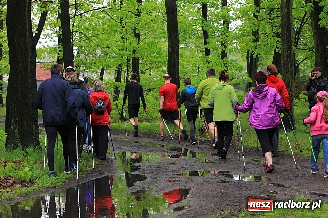 Zdjęcie w galerii na portalu naszraciborz.pl: Nordic Walking w Kuźni. W drogę z kijkami wiadomości z regionu