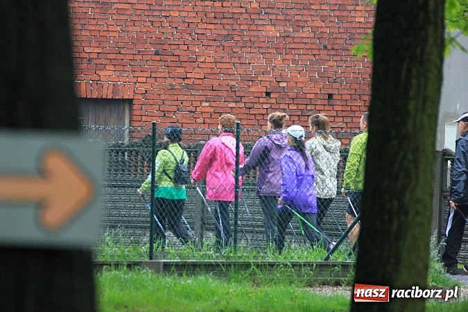 Zdjęcie w galerii na portalu naszraciborz.pl: Nordic Walking w Kuźni. W drogę z kijkami wiadomości z regionu