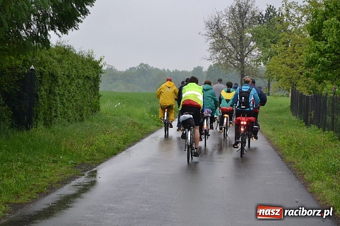 Zdjęcie w galerii na portalu naszraciborz.pl: To był rajd dla twardzieli wiadomości z regionu