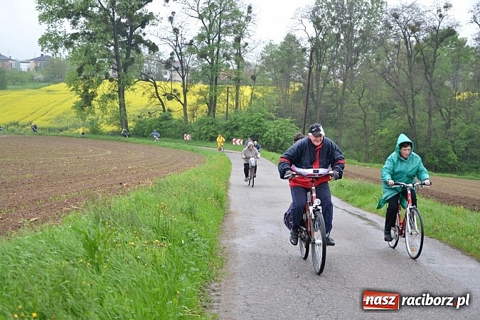 Zdjęcie w galerii na portalu naszraciborz.pl: To był rajd dla twardzieli wiadomości z regionu