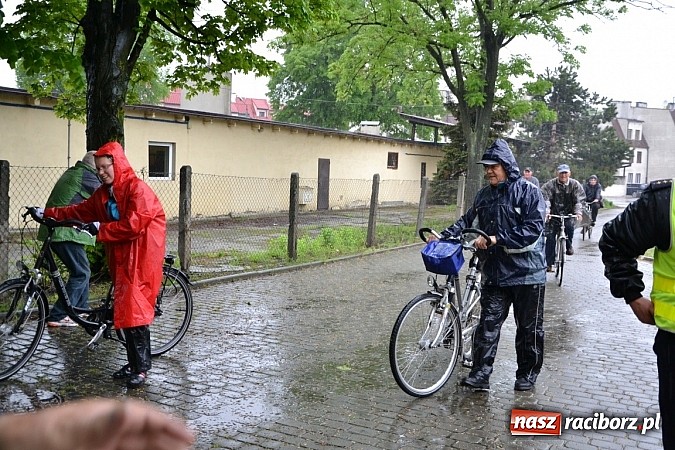 Zdjęcie w galerii na portalu naszraciborz.pl: To był rajd dla twardzieli wiadomości z regionu