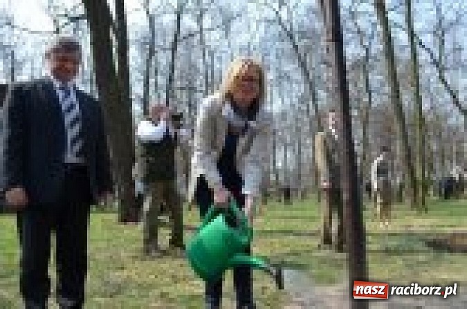 Zdjęcie w galerii na portalu naszraciborz.pl: Fundusz na Święcie Lasu wiadomości z regionu