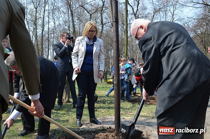 Zdjęcie w galerii na portalu naszraciborz.pl: Fundusz na Święcie Lasu wiadomości z regionu