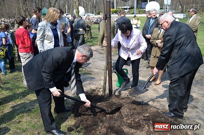 Zdjęcie w galerii na portalu naszraciborz.pl: Fundusz na Święcie Lasu wiadomości z regionu