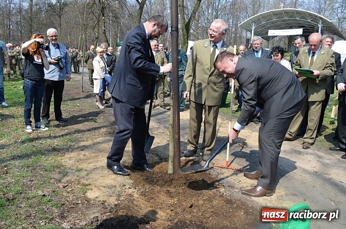 Zdjęcie w galerii na portalu naszraciborz.pl: Fundusz na Święcie Lasu wiadomości z regionu
