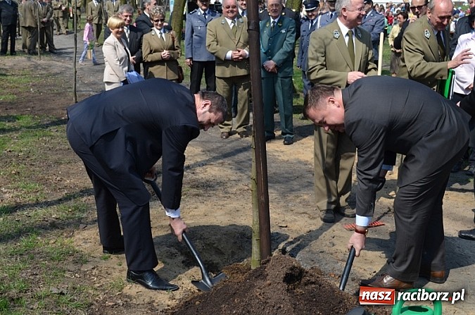 Zdjęcie w galerii na portalu naszraciborz.pl: Fundusz na Święcie Lasu wiadomości z regionu