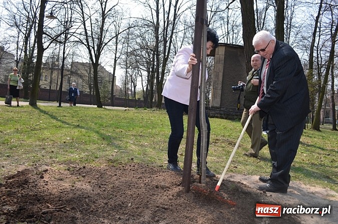 Zdjęcie w galerii na portalu naszraciborz.pl: Fundusz na Święcie Lasu wiadomości z regionu