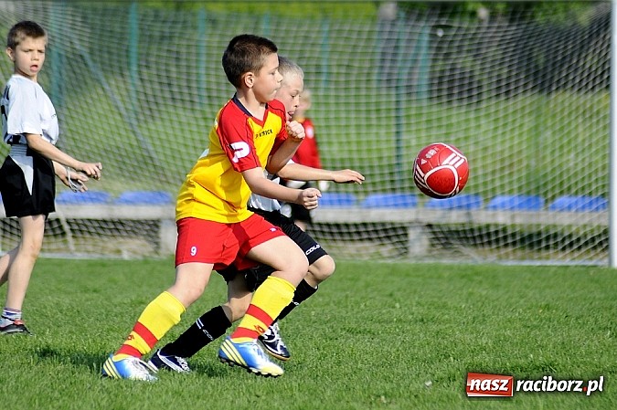 Zdjęcie w galerii na portalu naszraciborz.pl: Grad goli w Markowicach wiadomości z regionu