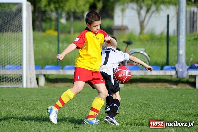 Zdjęcie w galerii na portalu naszraciborz.pl: Grad goli w Markowicach wiadomości z regionu