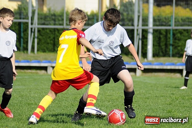 Zdjęcie w galerii na portalu naszraciborz.pl: Grad goli w Markowicach wiadomości z regionu