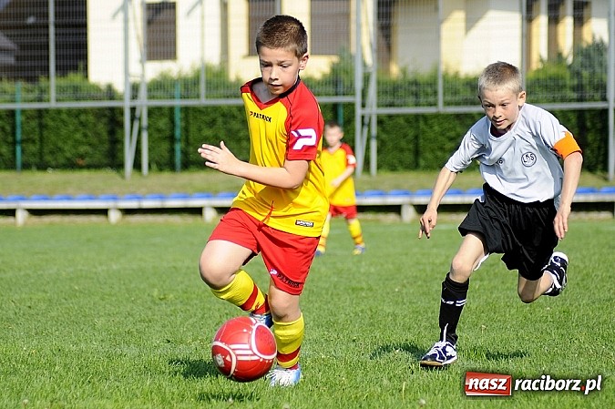 Zdjęcie w galerii na portalu naszraciborz.pl: Grad goli w Markowicach wiadomości z regionu