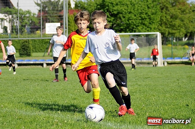 Zdjęcie w galerii na portalu naszraciborz.pl: Grad goli w Markowicach wiadomości z regionu