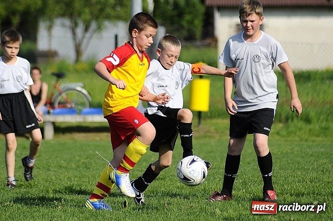 Zdjęcie w galerii na portalu naszraciborz.pl: Grad goli w Markowicach wiadomości z regionu