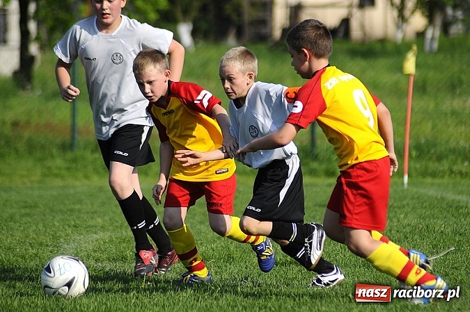 Zdjęcie w galerii na portalu naszraciborz.pl: Grad goli w Markowicach wiadomości z regionu