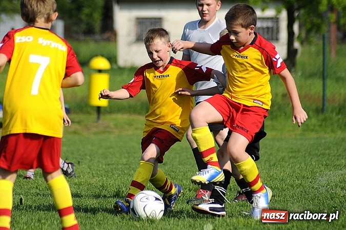 Zdjęcie w galerii na portalu naszraciborz.pl: Grad goli w Markowicach wiadomości z regionu