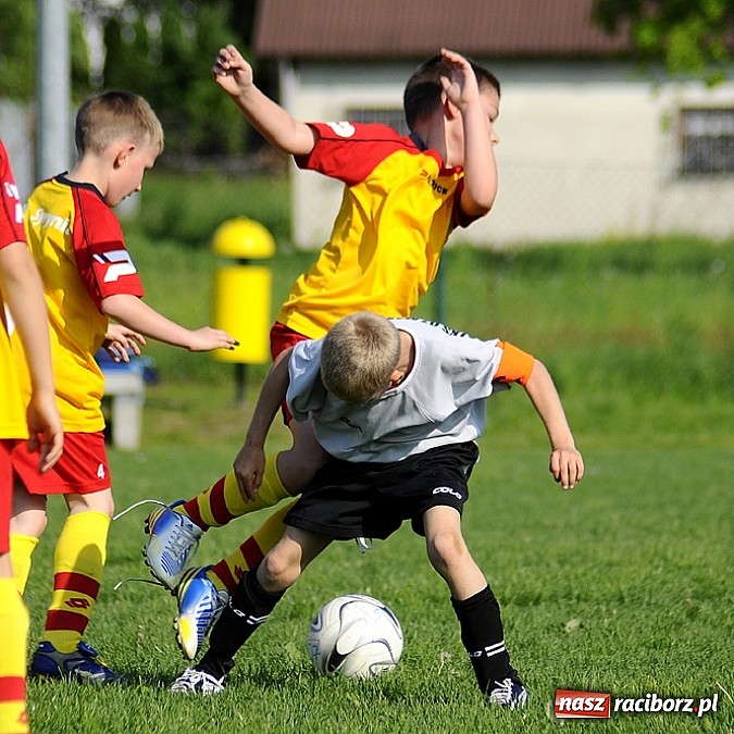 Zdjęcie w galerii na portalu naszraciborz.pl: Grad goli w Markowicach wiadomości z regionu