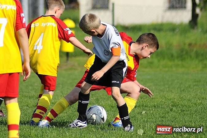 Zdjęcie w galerii na portalu naszraciborz.pl: Grad goli w Markowicach wiadomości z regionu