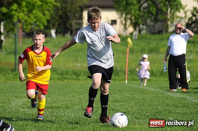 Zdjęcie w galerii na portalu naszraciborz.pl: Grad goli w Markowicach wiadomości z regionu